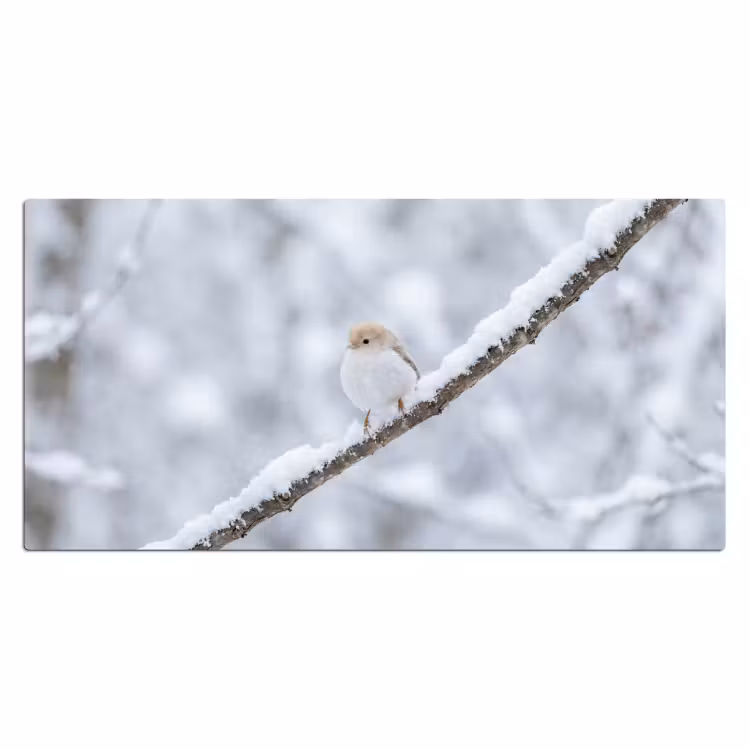 Bureau onderlegger - Vogeltje - Sneeuw - Tak - Winter - Zacht — 2