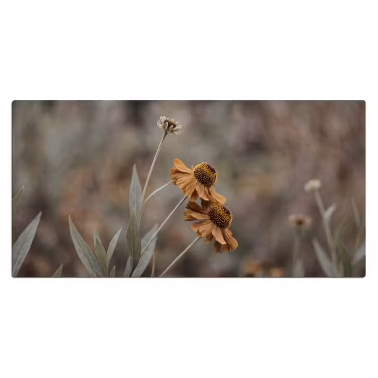 Bureau onderlegger - Zonnehoed - Droogbloemen - Geel - Warm — 2