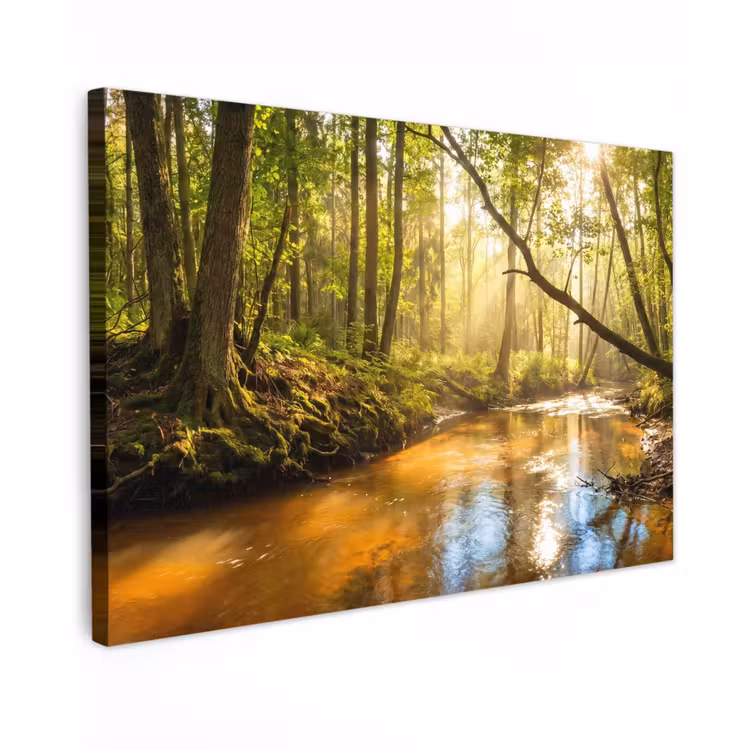 Canvas schilderij - Bos - Beek - Zonlicht - Natuur - Groen — 1