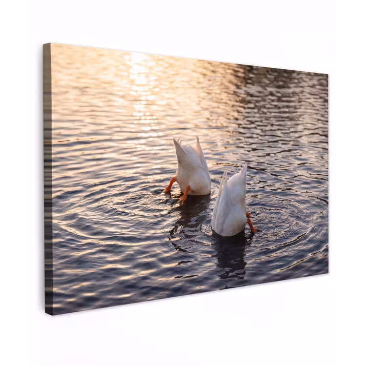 Canvas schilderij - Eenden - Water - Natuur — 1