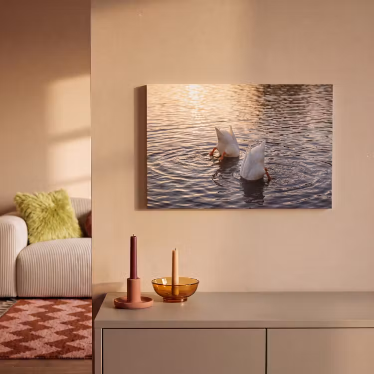 Canvas schilderij - Eenden - Water - Natuur — 2