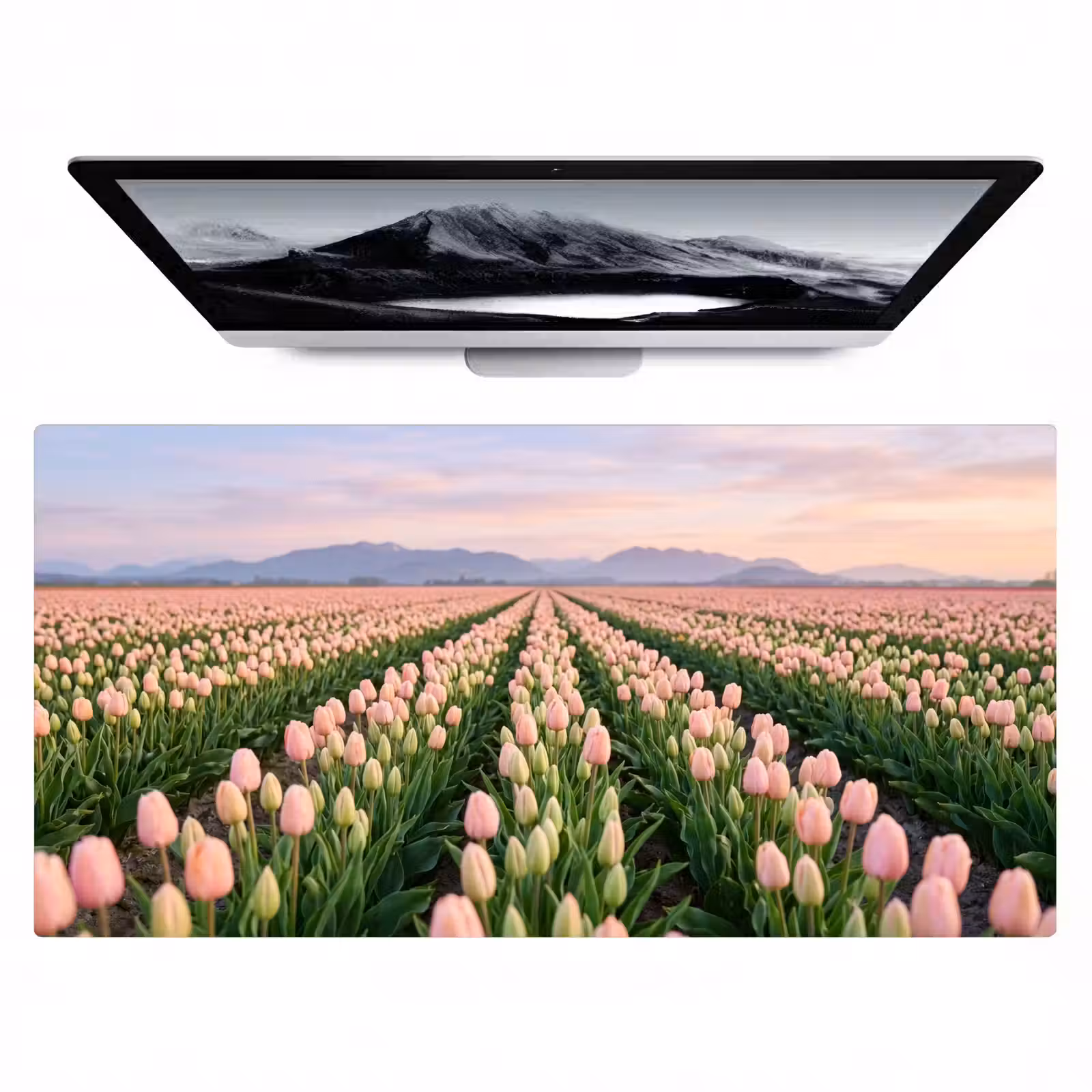 Bureau onderlegger - Tulpen - Landschap - Roze — 1