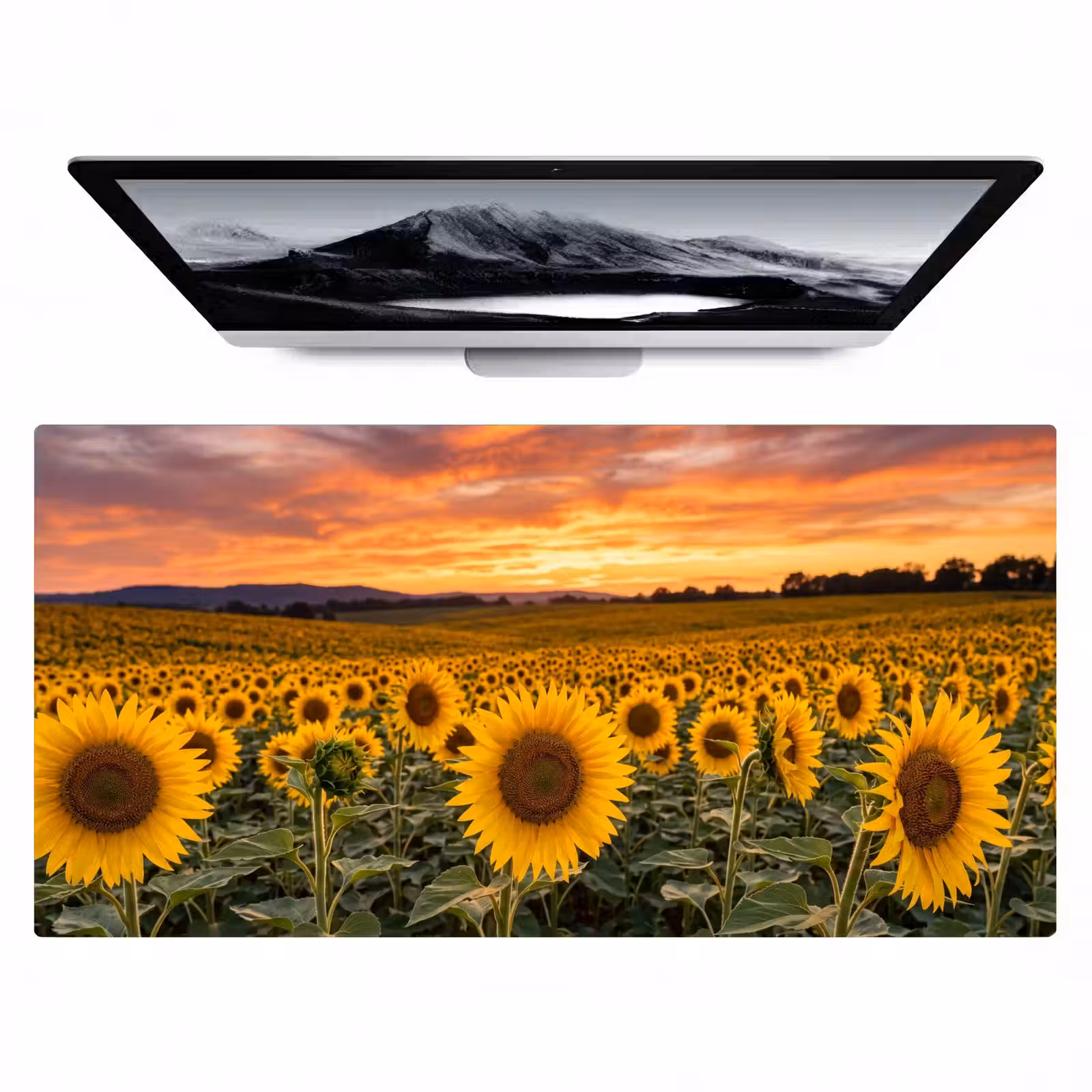 Bureau onderlegger - Zonnebloemen - Heuvellandschap - Geel — 1