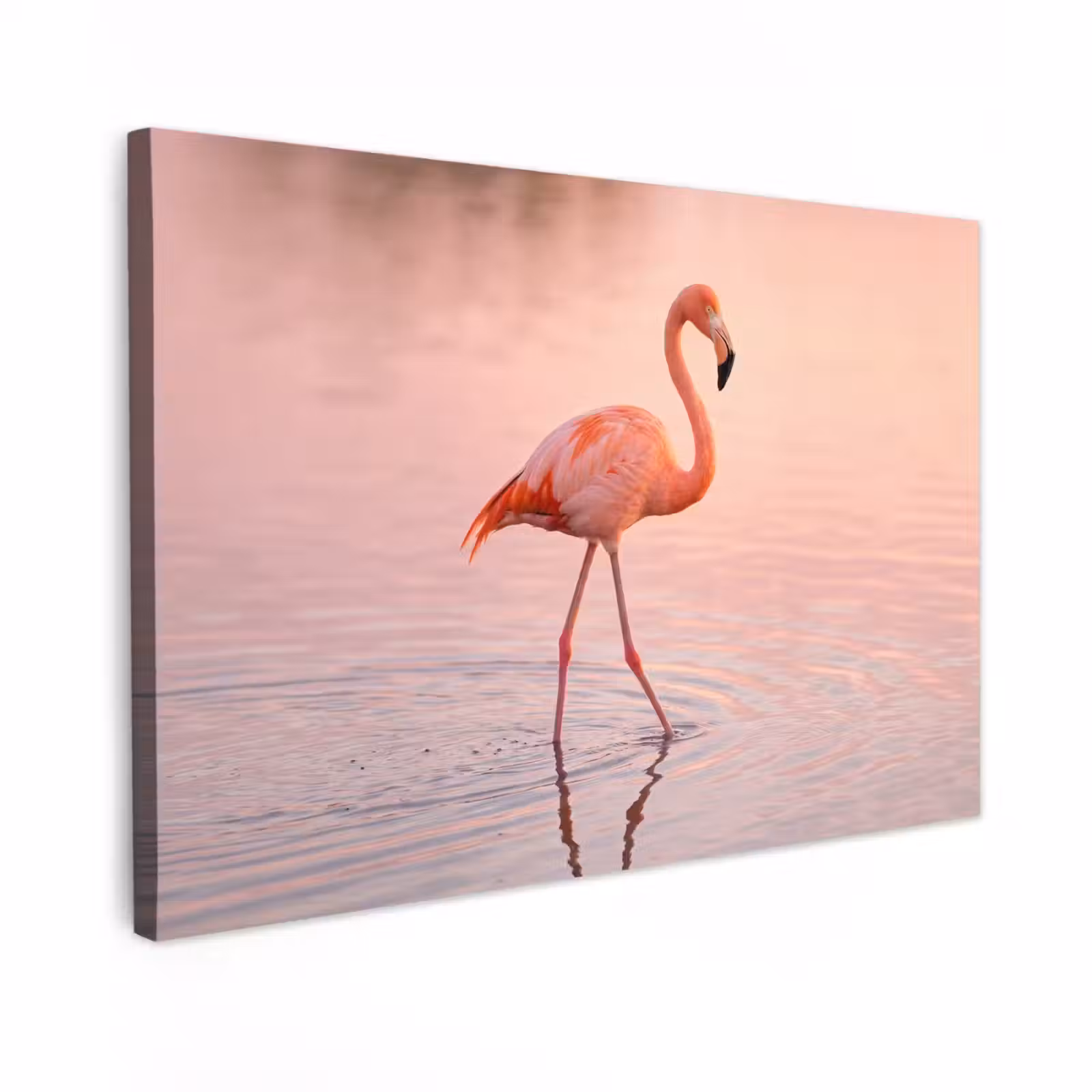 Canvas schilderij - Flamingo - Water - Roze — 1