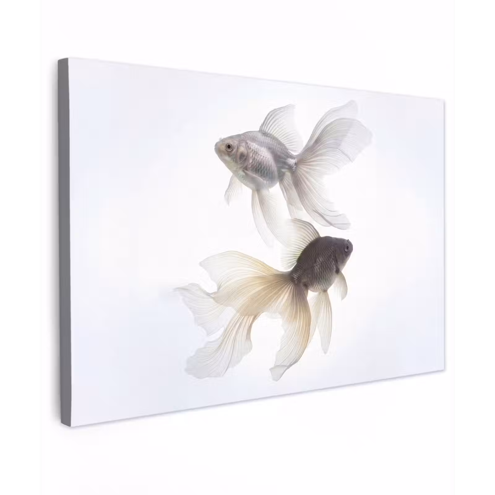 Canvas schilderij - Goudvissen - Modern - Wit — 1