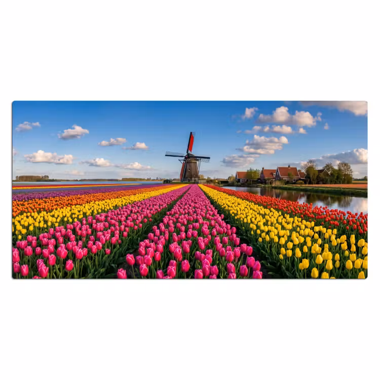 Bureau onderlegger - Tulpen - Holland - Molen - Kleurrijk — 2