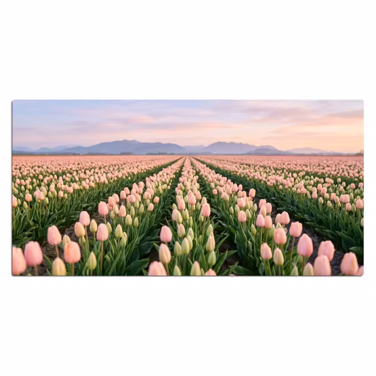Bureau onderlegger - Tulpen - Landschap - Roze — 2