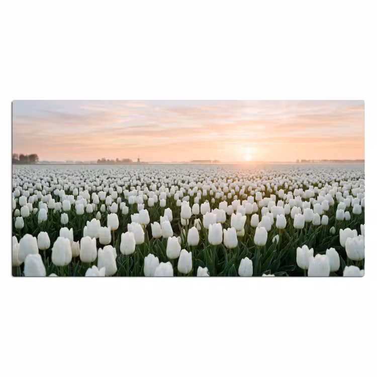 Bureau onderlegger - Tulpen - Landschap - Wit — 2
