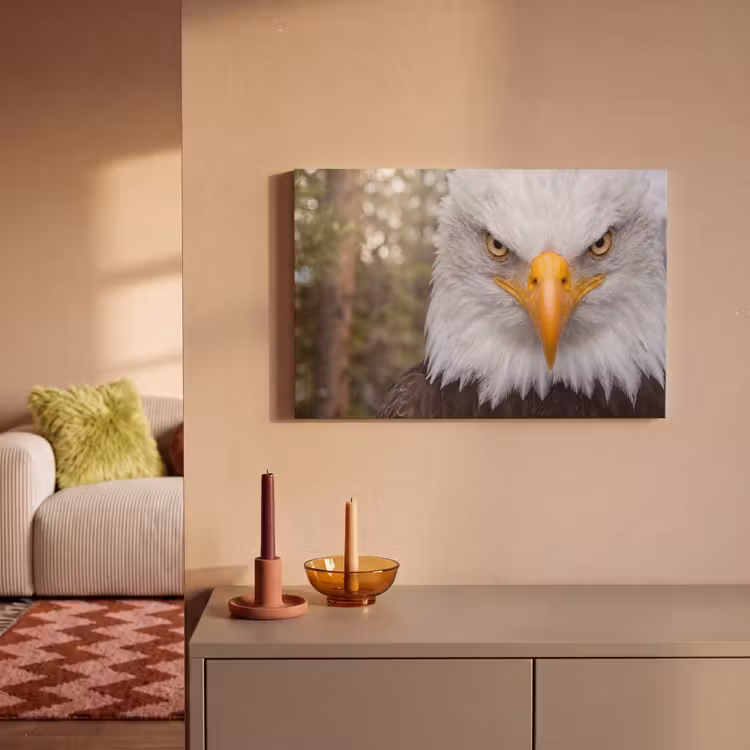 Canvas schilderij - Amerikaans - Zeearend - Portret - Geel — 2