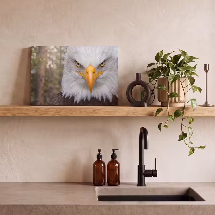Canvas schilderij - Amerikaans - Zeearend - Portret - Geel — 3