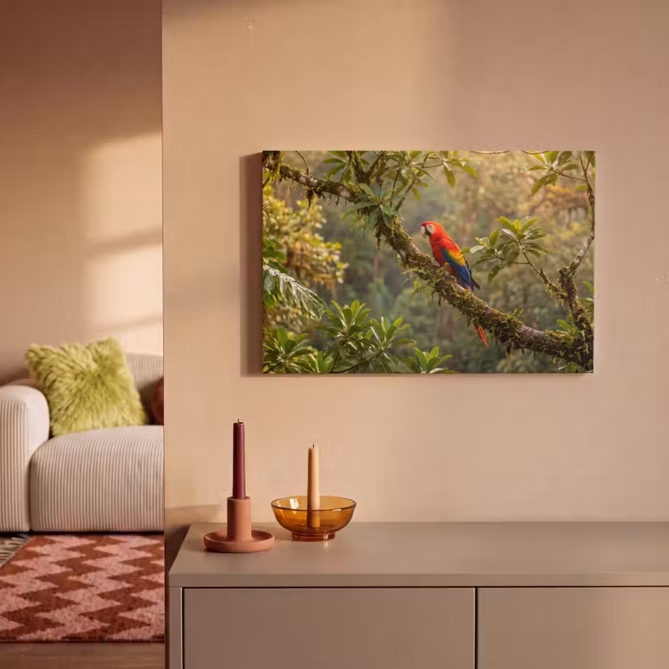 Canvas schilderij - Ara - Jungle - Rood — 2