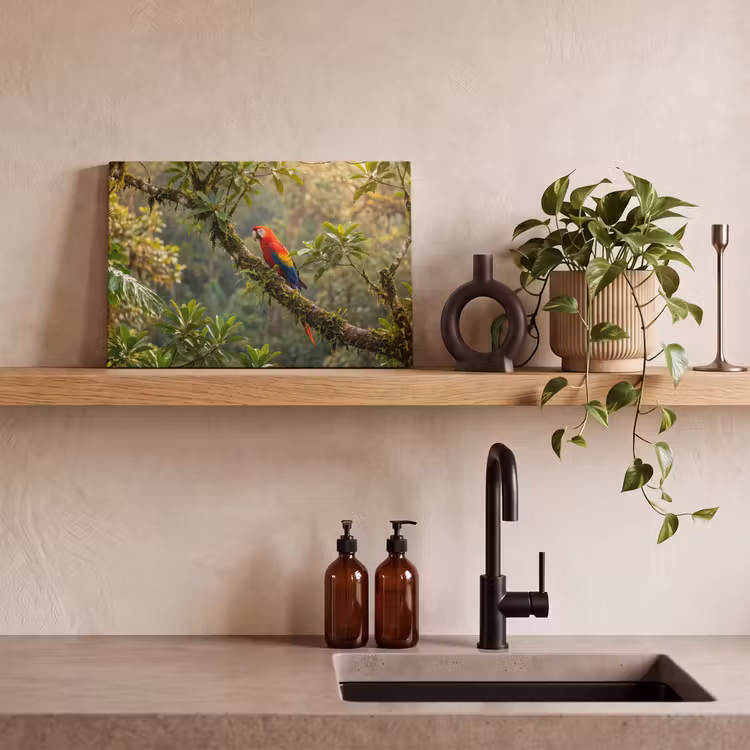 Canvas schilderij - Ara - Jungle - Rood — 3