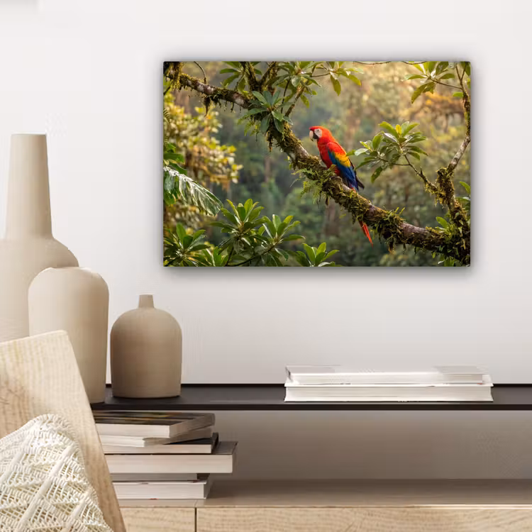 Canvas schilderij - Ara - Jungle - Rood — 5