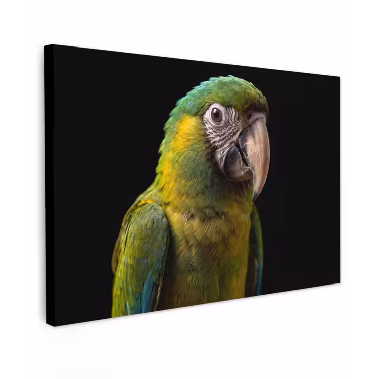 Canvas schilderij - Ara - Portret - Groen — 1