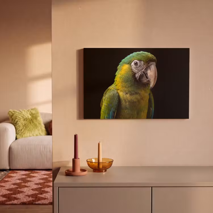 Canvas schilderij - Ara - Portret - Groen — 2