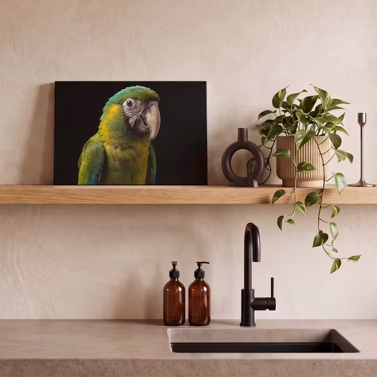 Canvas schilderij - Ara - Portret - Groen — 3