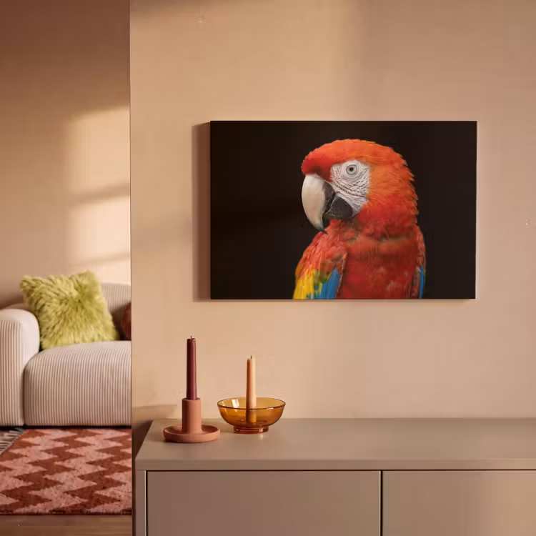 Canvas schilderij - Ara - Portret - Rood — 2