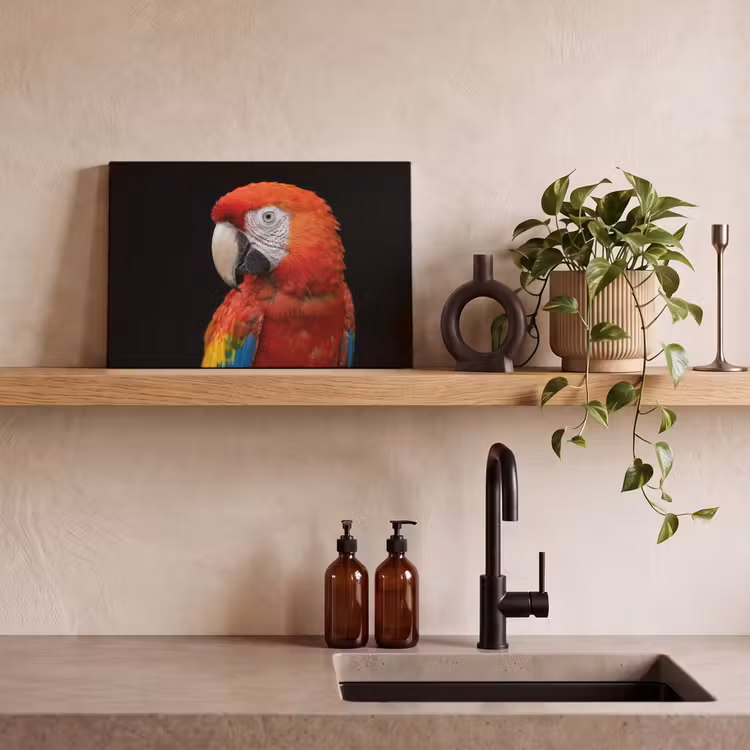 Canvas schilderij - Ara - Portret - Rood — 3