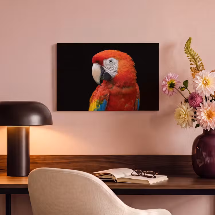 Canvas schilderij - Ara - Portret - Rood — 4