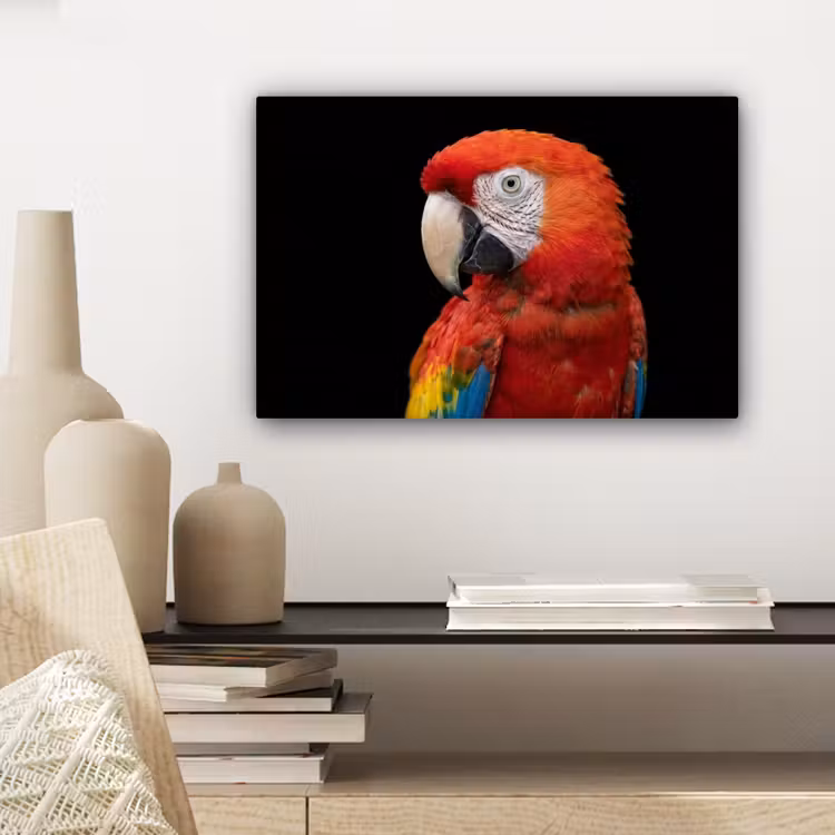 Canvas schilderij - Ara - Portret - Rood — 5