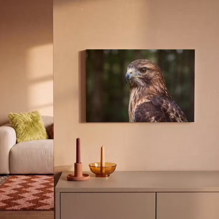 Canvas schilderij - Buizerd - Roofvogel - Natuur - Bruin — 2