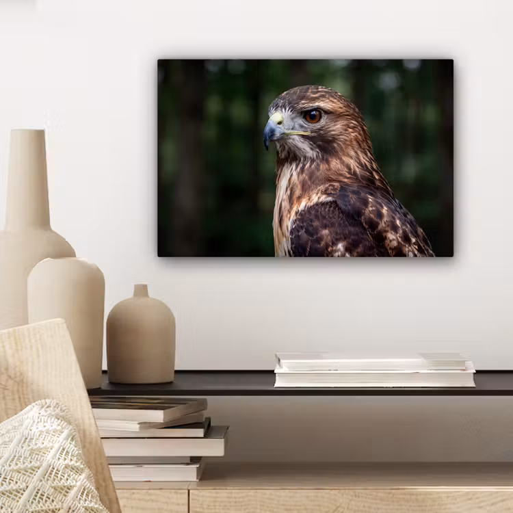 Canvas schilderij - Buizerd - Roofvogel - Natuur - Bruin — 5