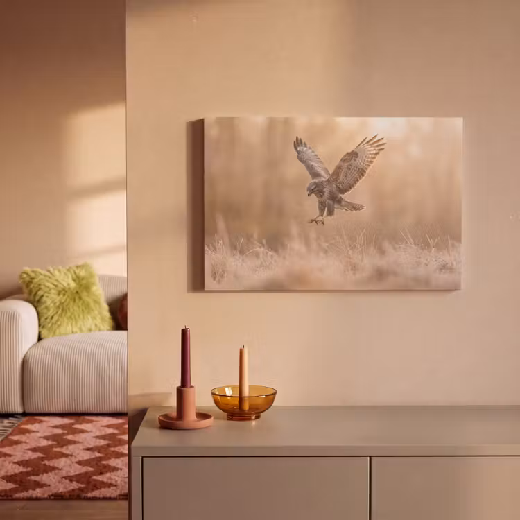 Canvas schilderij - Buizerd - Roofvogel - Natuur - Bruin — 2
