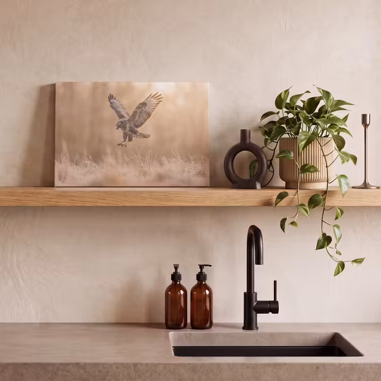 Canvas schilderij - Buizerd - Roofvogel - Natuur - Bruin — 3