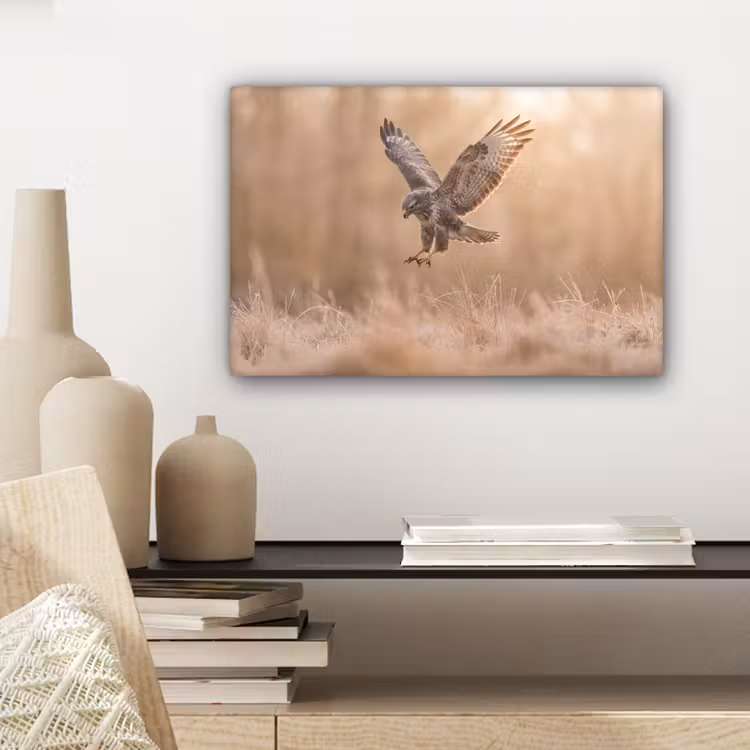 Canvas schilderij - Buizerd - Roofvogel - Natuur - Bruin — 5