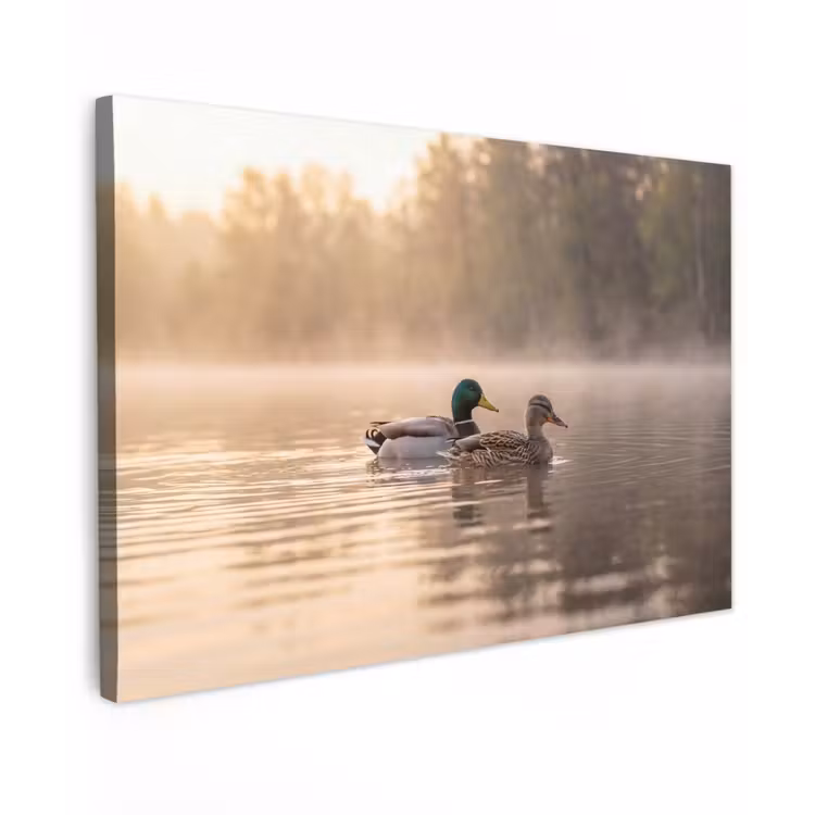 Canvas schilderij - Eenden - Water - Mist - Natuur — 1