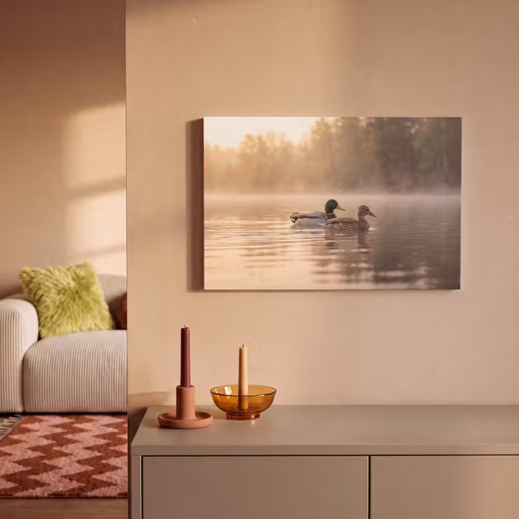 Canvas schilderij - Eenden - Water - Mist - Natuur — 2