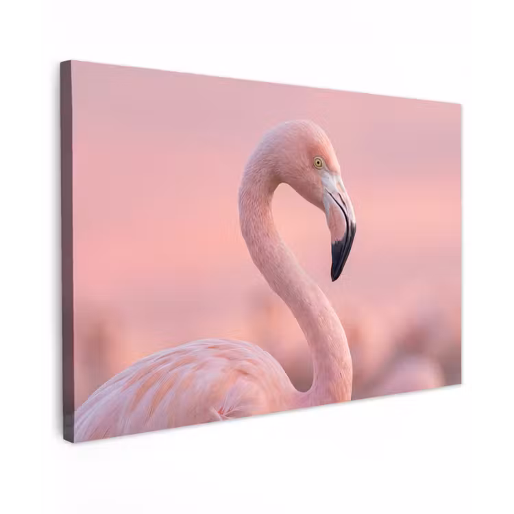 Canvas schilderij - Flamingo - Portret - Roze — 1