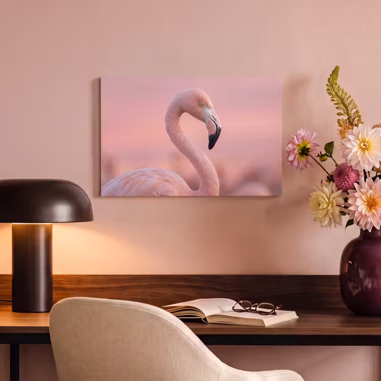 Canvas schilderij - Flamingo - Portret - Roze — 4