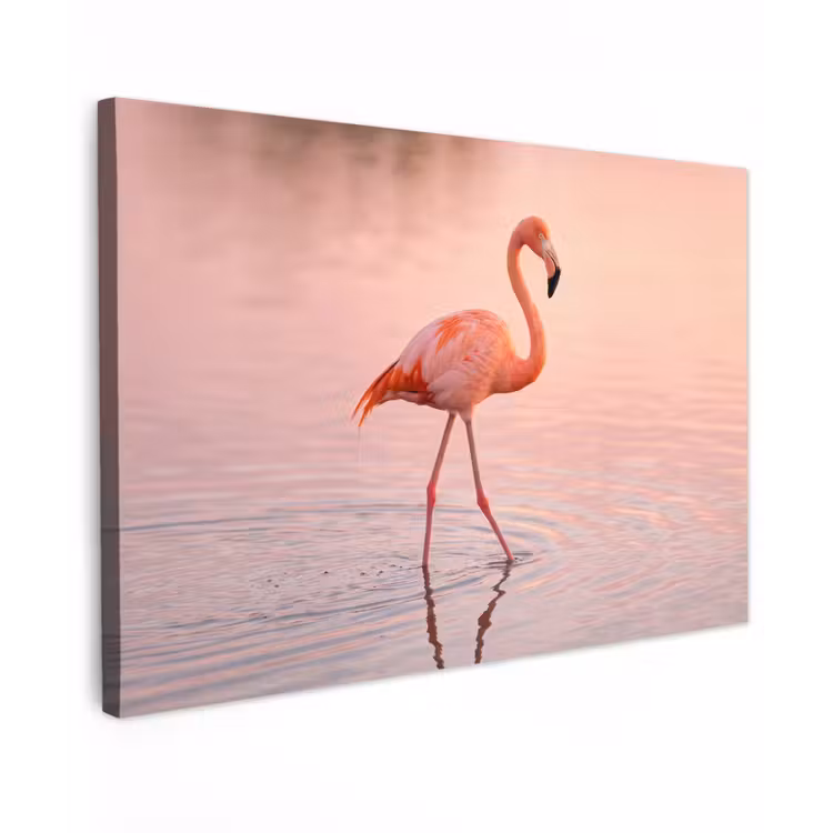Canvas schilderij - Flamingo - Water - Roze — 1