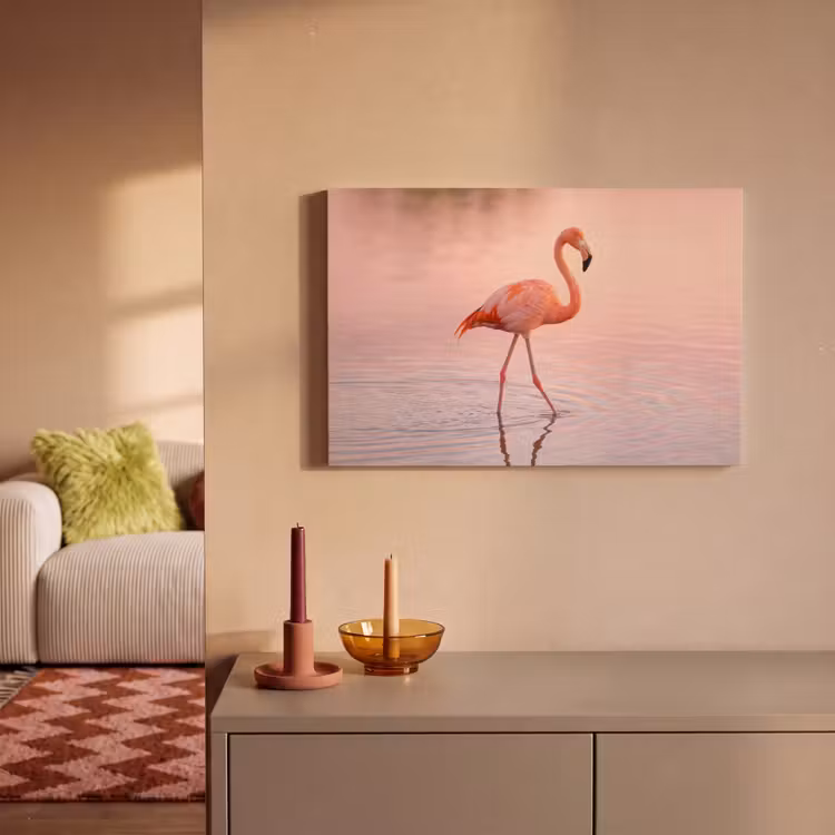 Canvas schilderij - Flamingo - Water - Roze — 2