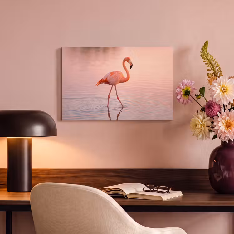 Canvas schilderij - Flamingo - Water - Roze — 4
