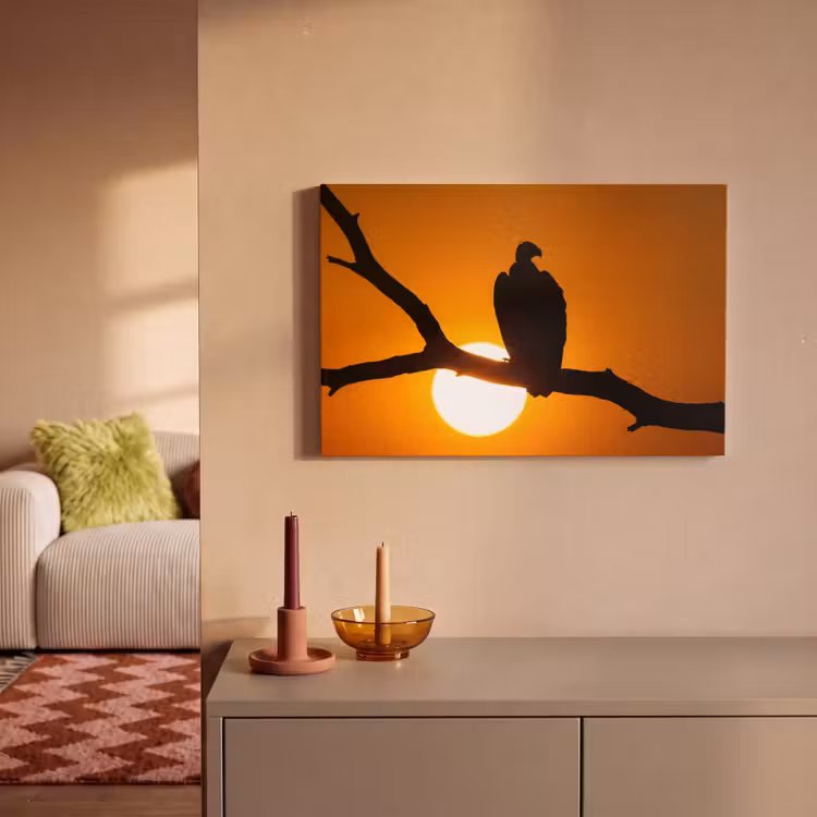 Canvas schilderij - Gier - Tak - Zon - Oranje — 2