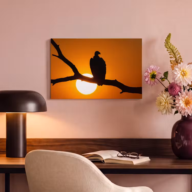 Canvas schilderij - Gier - Tak - Zon - Oranje — 4