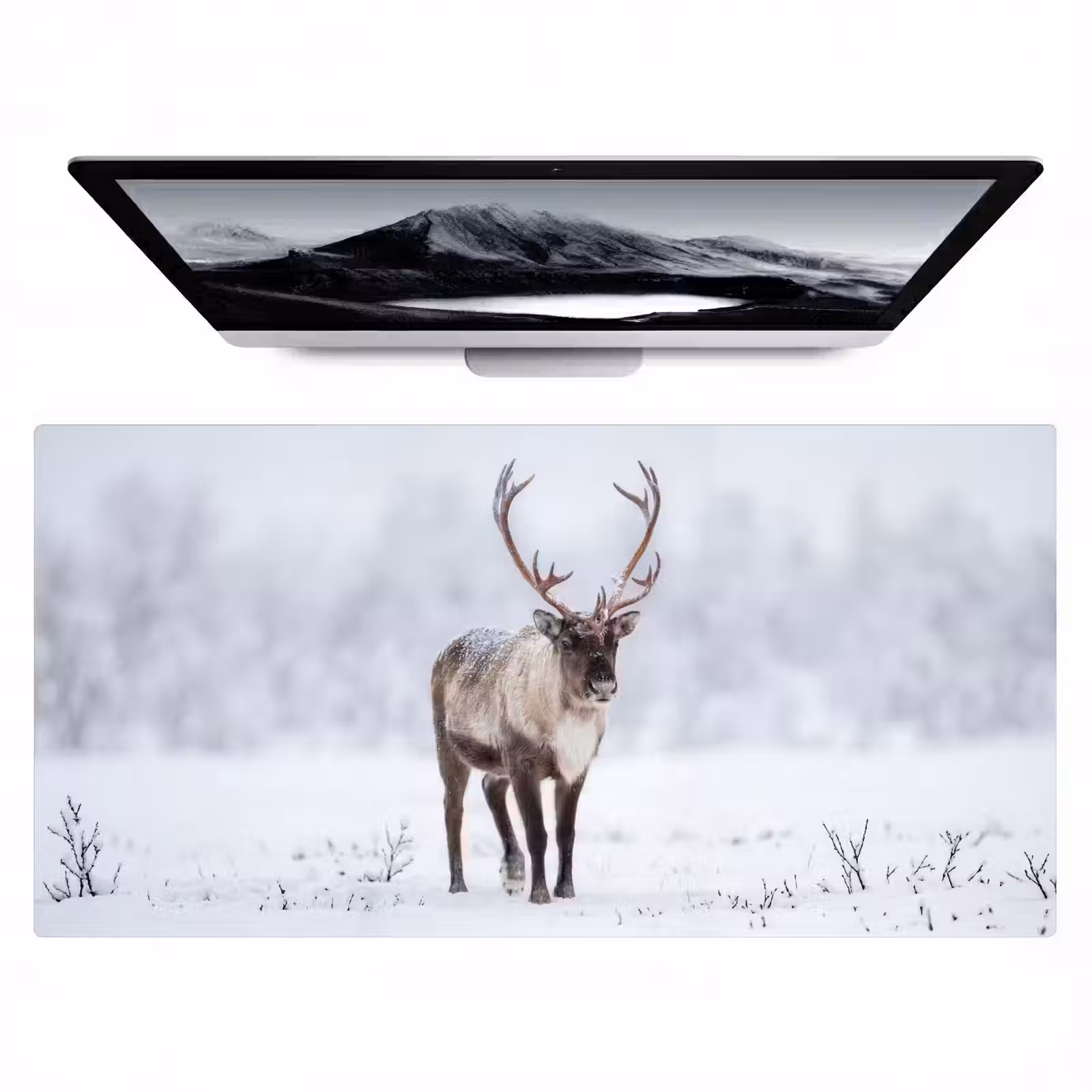 Bureau onderlegger - Rendier - Gewei - Toendra - Sneeuw - Wild — 1