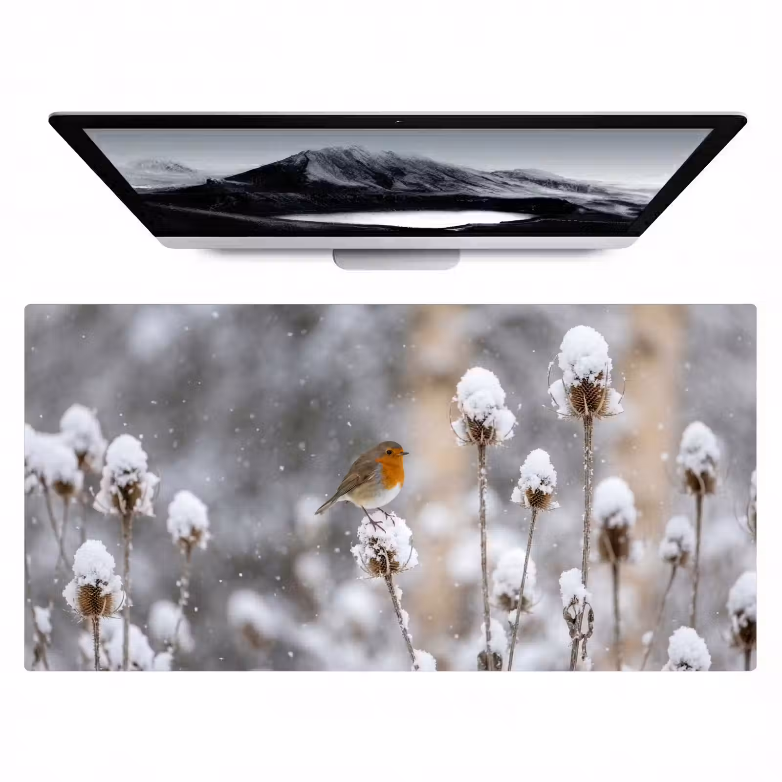 Bureau onderlegger - Roodborstje - Gedroogde bloem - Sneeuw - Winter - Vertederend — 1