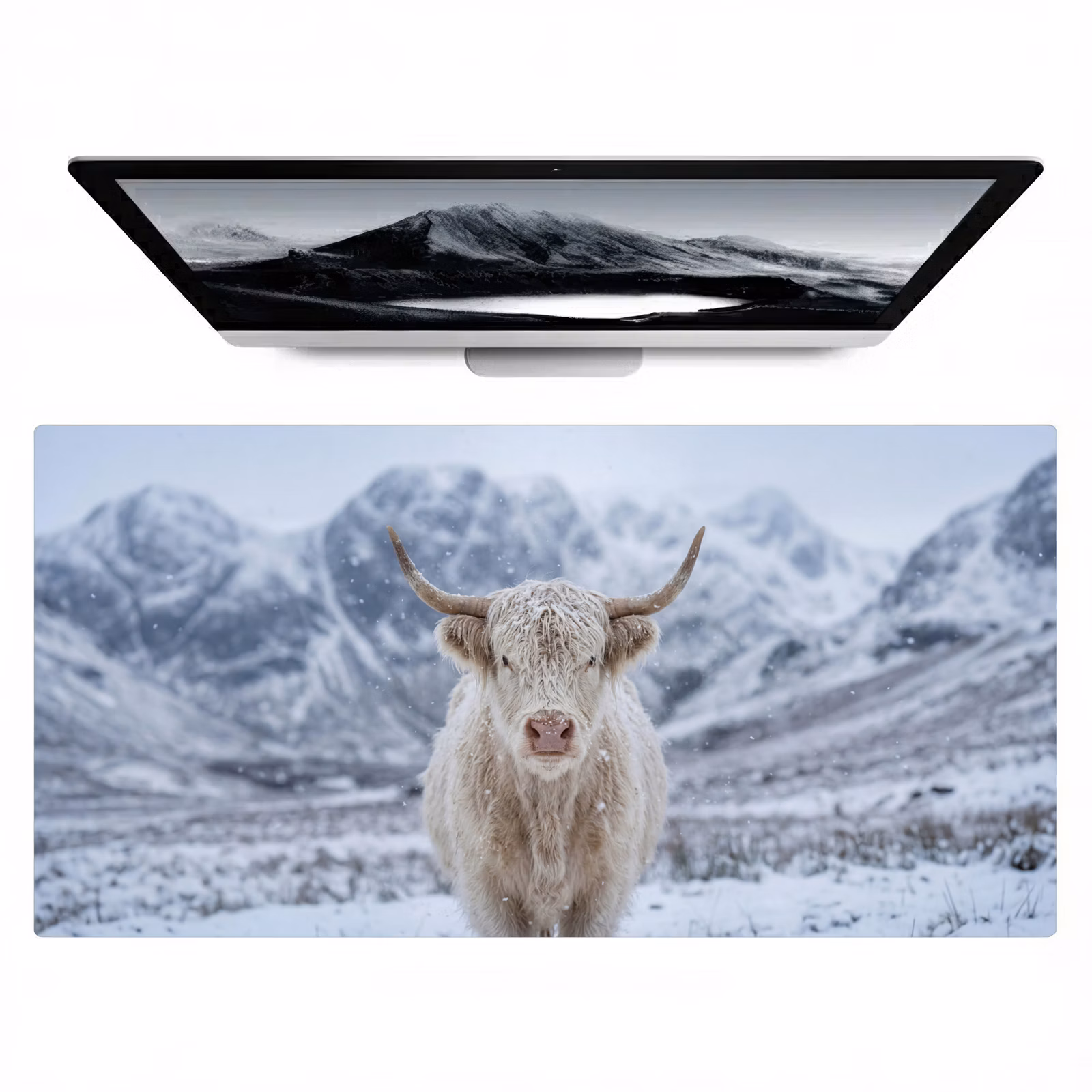 Bureau onderlegger - Schotse Hooglander - Sneeuw - Bergen - Winter — 1