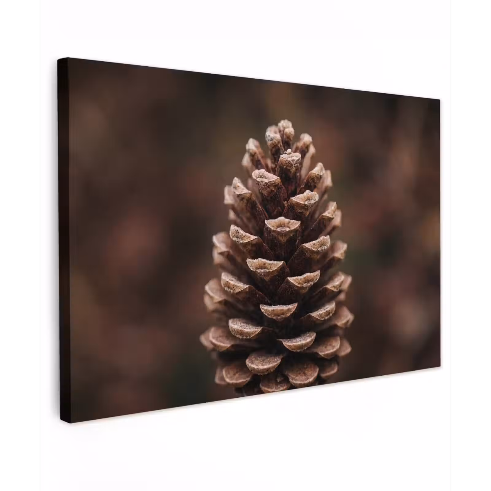 Canvas schilderij - Dennenappel - Bos - Herfst - Bruin - Sfeervol — 1