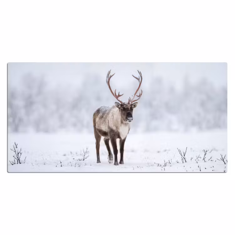 Bureau onderlegger - Rendier - Gewei - Toendra - Sneeuw - Wild — 2