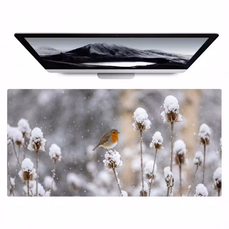 Bureau onderlegger - Roodborstje - Gedroogde bloem - Sneeuw - Winter - Vertederend — 1