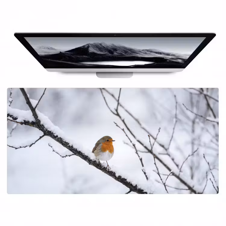 Bureau onderlegger - Roodborstje - Tak - Sneeuw - Winter - Levendig — 1