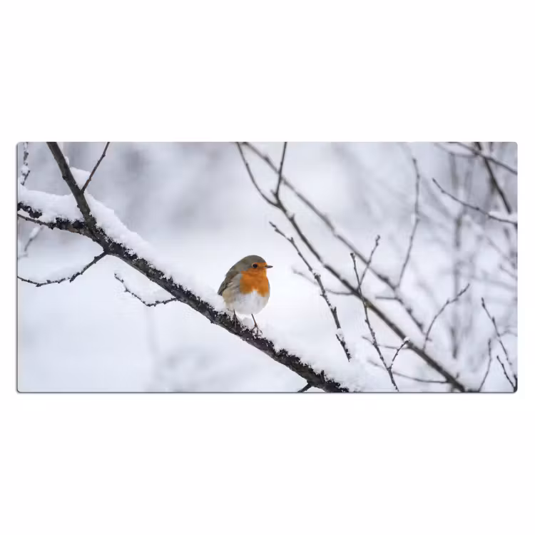 Bureau onderlegger - Roodborstje - Tak - Sneeuw - Winter - Levendig — 2
