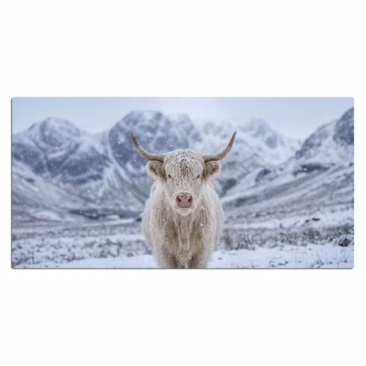 Bureau onderlegger - Schotse Hooglander - Sneeuw - Bergen - Winter — 2
