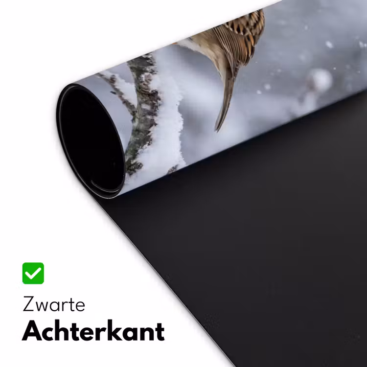Bureau onderlegger - Vogel - Tak - Sneeuw - Winter — 5