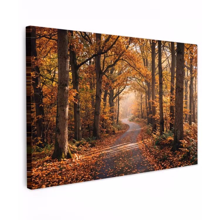 Canvas schilderij - Bospad - Herfstbos - Bladeren - Oranje - Nostalgisch — 1