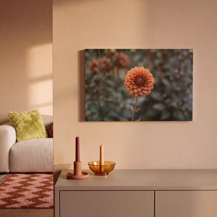 Canvas schilderij - Dahlia - Bloem - Natuur - Sfeervol — 2